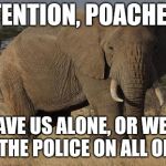 angry elephant | ATTENTION, POACHERS! LEAVE US ALONE, OR WE'LL CALL THE POLICE ON ALL OF YOU! | image tagged in angry elephant | made w/ Imgflip meme maker