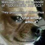 Tennessee,  Chihuahua
Cha-who-a-who-a | Was watching an episode of "SOUTHERN JUSTICE"; They pronounced Chihuahua; "cha-who-a who-a" | image tagged in crying chiwawa,southern | made w/ Imgflip meme maker