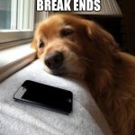 Monday sad pup | WHEN SUMMER BREAK ENDS | image tagged in monday sad pup | made w/ Imgflip meme maker