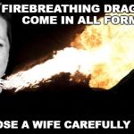 Dragon wife | FIREBREATHING DRAGONS COME IN ALL FORMS; CHOOSE A WIFE CAREFULLY LADS | image tagged in dragon wife | made w/ Imgflip meme maker