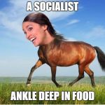 Horsecasio-Horsetez | A SOCIALIST; ANKLE DEEP IN FOOD | image tagged in horsecasio-horsetez | made w/ Imgflip meme maker