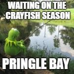 Fishing Kermit | WAITING ON THE CRAYFISH SEASON; PRINGLE BAY | image tagged in fishing kermit | made w/ Imgflip meme maker