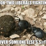 The next election  | LOOK TWO LIBERALS FIGHTING; OVER SOMEONE ELSE'S S#!T | image tagged in the next election | made w/ Imgflip meme maker