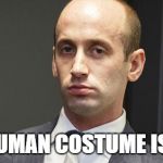 Steven Miller | THIS HUMAN COSTUME IS ITCHY | image tagged in steven miller | made w/ Imgflip meme maker