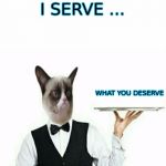 Grumpy Cat Waiter | I SERVE ... WHAT YOU DESERVE | image tagged in grumpy cat waiter | made w/ Imgflip meme maker