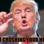 I like to do this to people while sitting in traffic. LOL! | I AM CRUSHING YOUR HEAD | image tagged in donald trump small brain,nixieknox,memes | made w/ Imgflip meme maker