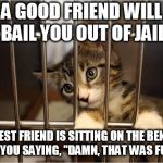 On fraudulent charges, of course | A GOOD FRIEND WILL BAIL YOU OUT OF JAIL; A BEST FRIEND IS SITTING ON THE BENCH WITH YOU SAYING, "DAMN, THAT WAS FUN" :-D | image tagged in cat jail,bail | made w/ Imgflip meme maker