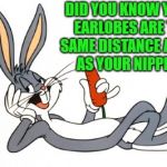 did you know? | DID YOU KNOW YOUR EARLOBES ARE THE SAME DISTANCE APART AS YOUR NIPPLES | image tagged in bugs bunny,earlobes | made w/ Imgflip meme maker