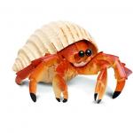Hermit Crab meme
