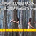 California environmental management  | WILDFIRES RAGING THROUGH THE STATE, TEMPERATURES IN THE 90'S AND NO THINNING OF OUR PRECIOUS FORESTS...LET'S GET NAKED AND LIGHT UP SOME MEDICINAL WEED! WHAT COULD POSSIBLY GO WRONG? | image tagged in california environmental management,natural resources,bad management,stupidity | made w/ Imgflip meme maker