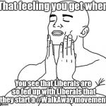 Welcome to the Right side (get it?) | That feeling you get when; You see that Liberals are so fed up with Liberals that they start a #WalkAway movement | image tagged in that feeling when | made w/ Imgflip meme maker