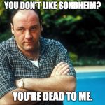 Tony Soprano Pool | YOU DON'T LIKE SONDHEIM? YOU'RE DEAD TO ME. | image tagged in tony soprano pool | made w/ Imgflip meme maker