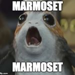 porgs | MARMOSET; MARMOSET | image tagged in porgs | made w/ Imgflip meme maker