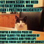 USELESS HUMAN | SIT DOWN SLAVE WE NEED TO TALK! HUMAN, HOW CAN I PUT THIS DELICATELY? YOU'RE A USELESS PIECE OF CRAP SLAVE! I'VE HAD ENOUGH OF YOUR LAZINESS AND YOUR LIP! YOU'RE FIRED! GET OUT OF MY HOUSE! | image tagged in useless human | made w/ Imgflip meme maker