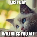 Sad Kitten | LAST DAY; WILL MISS YOU ALL | image tagged in sad kitten | made w/ Imgflip meme maker