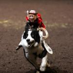 monkey riding dog