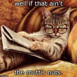 smart cat thinks, 'well if that ain;t the mutts nuts.go wild. | well if that ain't; the mutt's nuts. | image tagged in smart cat,dog pun,crooked hillary,mutt | made w/ Imgflip meme maker