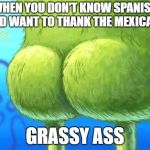 spongebob bottom | WHEN YOU DON'T KNOW SPANISH AND WANT TO THANK THE MEXICANS; GRASSY ASS | image tagged in spongebob bottom | made w/ Imgflip meme maker