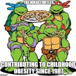 Ninja turtles | THE NINJA TURTLES; CONTRIBUTING TO CHILDHOOD OBESITY SINCE 1987 | image tagged in ninja turtles | made w/ Imgflip meme maker