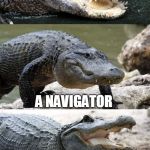 Bad Pun Alligator | WHAT DO YOU CALL AN ALLIGATOR THAT USES GPS? A NAVIGATOR | image tagged in bad pun alligator,navigator,alligator,alligators,bad pun,memes | made w/ Imgflip meme maker