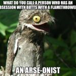 Arse-onists lol | WHAT DO YOU CALL A PERSON WHO HAS AN OBSESSION WITH BUTTS WITH A FLAMETHROWER? AN ARSE-ONIST | image tagged in bad joke potoo,arsonists,memes,pervert,flamethrower | made w/ Imgflip meme maker