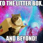 Cat, look! A mouse! | TO THE LITTER BOX, AND BEYOND! | image tagged in space cat with box,cats,airplane cat,memes,ilikepie314159265358979 | made w/ Imgflip meme maker