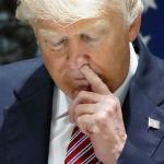 Trump picks nose
