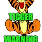 Tigger Bouncing | TIGGER; WARNING | image tagged in tigger bouncing | made w/ Imgflip meme maker