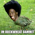 Duckith Wheatith | IM DUCKWHEAT DAMMIT | image tagged in duckith wheatith | made w/ Imgflip meme maker