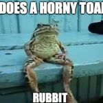 toad | WHAT DOES A HORNY TOAD SAY? RUBBIT | image tagged in toad,horny | made w/ Imgflip meme maker