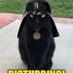 Dang, I need new ideas!!! | I FIND THE LACK OF MEME SPACE IN MY BRAIN; DISTURBING! | image tagged in vadar kitty | made w/ Imgflip meme maker