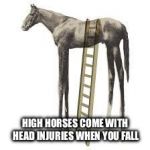 high horse | HIGH HORSES COME WITH HEAD INJURIES WHEN YOU FALL | image tagged in high horse,funny,memes,sarcasm,inspirational quote | made w/ Imgflip meme maker