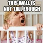 trunp baby | THIS WALL IS NOT TALL ENOUGH | image tagged in trunp baby | made w/ Imgflip meme maker