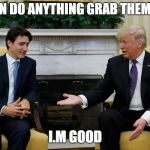Trudeau Trump | YOU CAN DO ANYTHING GRAB THEM BY THE; I.M GOOD | image tagged in trudeau trump | made w/ Imgflip meme maker