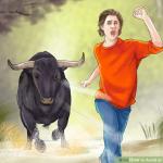 Running From Bull