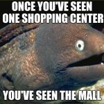 bad joke eel | ONCE YOU'VE SEEN ONE SHOPPING CENTER; YOU'VE SEEN THE MALL | image tagged in bad joke eel | made w/ Imgflip meme maker