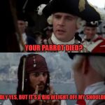 Pirates of the Caribbean  | YOUR PARROT DIED? SADLY YES, BUT IT'S A BIG WEIGHT OFF MY SHOULDERS | image tagged in pirates of the caribbean | made w/ Imgflip meme maker