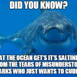 Shark Facts... | DID YOU KNOW? THAT THE OCEAN GET'S IT'S SALTINESS FROM THE TEARS OF MISUNDERSTOOD SHARKS WHO JUST WANTS TO CUDDLE.. | image tagged in smiling shark | made w/ Imgflip meme maker