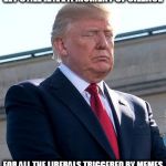 Trump Moment of Silence | LET'S ALL HAVE A MOMENT OF SILENCE; FOR ALL THE LIBERALS TRIGGERED BY MEMES | image tagged in trump moment of silence | made w/ Imgflip meme maker