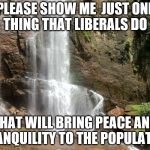 tranquilll | PLEASE SHOW ME  JUST ONE THING THAT LIBERALS DO; THAT WILL BRING PEACE AND TRANQUILITY TO THE POPULATION | image tagged in tranquilll | made w/ Imgflip meme maker