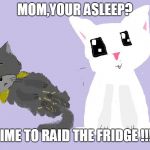 mi cats | MOM,YOUR ASLEEP? TIME TO RAID THE FRIDGE !!!! | image tagged in mi cats | made w/ Imgflip meme maker