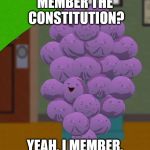 member berries  | MEMBER THE CONSTITUTION? YEAH, I MEMBER. | image tagged in member berries | made w/ Imgflip meme maker