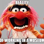 animal muppets | REALITY; OF WORKING IN A MUSEUM | image tagged in animal muppets | made w/ Imgflip meme maker
