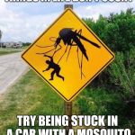 mosquito | IF YOU THINK THE LITTLE THINGS IN LIFE DON'T COUNT; TRY BEING STUCK IN A CAR WITH A MOSQUITO WHILE YOU'RE DRIVING | image tagged in mosquito | made w/ Imgflip meme maker