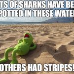 kermit on beach | LOTS OF SHARKS HAVE BEEN SPOTTED IN THESE WATERS; OTHERS HAD STRIPES! | image tagged in kermit on beach | made w/ Imgflip meme maker