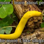 Banana Slug | The more I learn about people, the more I like slugs. | image tagged in banana slug | made w/ Imgflip meme maker