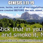 You Mean Trees And Vegetables Were Just Floating Out In Outer Space Before the First Stars Exploded Into Being?? | The trees, herbs, and all of our vegetative food sources were created BEFORE the sun, moon, and stars. GENESIS 1:11-19; Stick        in your pipe and smoke it, NASA; that; Research BIBLICAL COSMOLOGY/Flat Earth | image tagged in memes,nasa hoax,flat earth,biblical cosmology,genesis 1,evolution | made w/ Imgflip meme maker