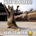 karate cat | WANT TO KARATE! HAVE TO WORK 😭 | image tagged in karate cat | made w/ Imgflip meme maker