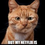 Frustrated Cat | I JUST NEED THE CATHARSIS OF A DISNEY MOVIE; BUT MY NETFLIX IS DOWN SO I'M SITTING HERE FRUSTRATED AND GRUMPY. | image tagged in frustrated cat | made w/ Imgflip meme maker