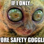 big eyes | IF I ONLY... WORE SAFETY GOGGLES | image tagged in big eyes | made w/ Imgflip meme maker